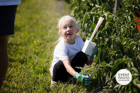 0223__9-14-24-Chartis-Federal-Corporate-Family-Day-JK-Farm-Purceville-Virginia-EventPhotojournalism-event-photographers