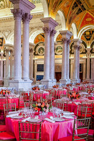 Northern Virginia Gala Photographers