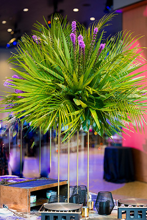 0083__8-2-25_Damien-Dwin-Celebration-National-Museum-of-African-American-Museum-Washington-DC-event-Rodney-Bailey-Photography