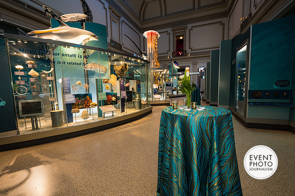 0114__12-8-22_Venture-Global-Holiday-Party-National-Museum-of-Natural-History-Washington-DC-EventPhotojournalism-event-photographers