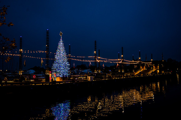 0310__12-10-24_Well-Dunn-Catering-The-Anthem-District-Wharf-Washington-DC-Event-Photographers-Rodney-Bailey-Photography