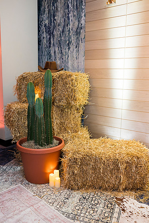 0008__2-16-25_Four-Seasons-Washington-DC-Employee-Holiday-Party-Photographers-Rodney-Bailey-Photography