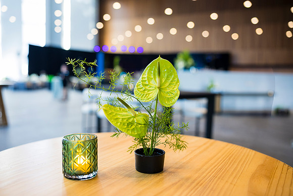 0050_7-24-25_MC&A-Room-Decor-Shoot_Capital-One-Hall-Tysons-Virginia-Event-Photojournalism-photography
