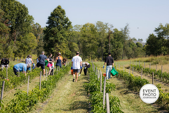 0313__9-14-24-Chartis-Federal-Corporate-Family-Day-JK-Farm-Purceville-Virginia-EventPhotojournalism-event-photographers