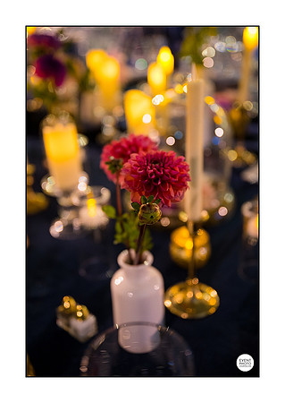 0171_10-11-22_NOBLIS-Retirement_Party-Udvar-Hazy-Center-EventPhotojournalism-event-photographers-Virginia