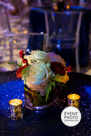 0003__12-8-22_Venture-Global-Holiday-Party-National-Museum-of-Natural-History-Washington-DC-EventPhotojournalism-event-photographers