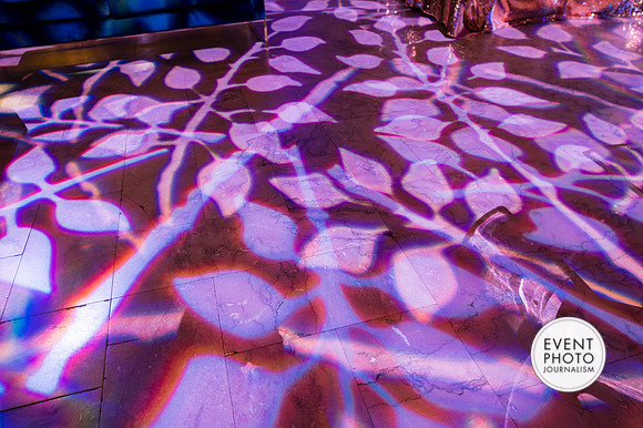 0026__12-8-22_Venture-Global-Holiday-Party-National-Museum-of-Natural-History-Washington-DC-EventPhotojournalism-event-photographers
