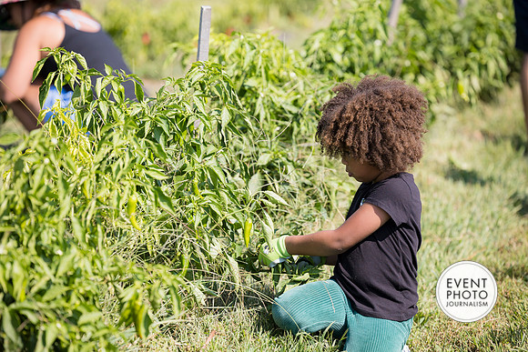 0320__9-14-24-Chartis-Federal-Corporate-Family-Day-JK-Farm-Purceville-Virginia-EventPhotojournalism-event-photographers