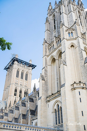 0002_DECOR__6-13-2024_No-Kid-Hungry-DC-Donor-Dinner-national-Cathedral-Washington-DC-Rodney-Bailey-Photography-event-photographers