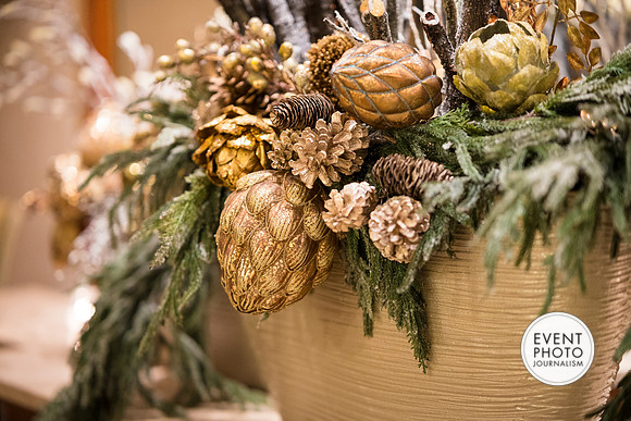 0285__12-6-24_Rock-Creek-Group-Holiday-Party-Hay-Adams-Hotel-Washington-DC-EventPhotojournalism-photographers