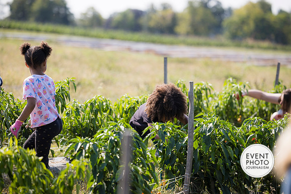 0230__9-14-24-Chartis-Federal-Corporate-Family-Day-JK-Farm-Purceville-Virginia-EventPhotojournalism-event-photographers