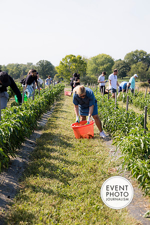 0252__9-14-24-Chartis-Federal-Corporate-Family-Day-JK-Farm-Purceville-Virginia-EventPhotojournalism-event-photographers