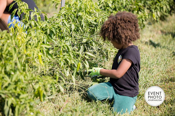 0319__9-14-24-Chartis-Federal-Corporate-Family-Day-JK-Farm-Purceville-Virginia-EventPhotojournalism-event-photographers