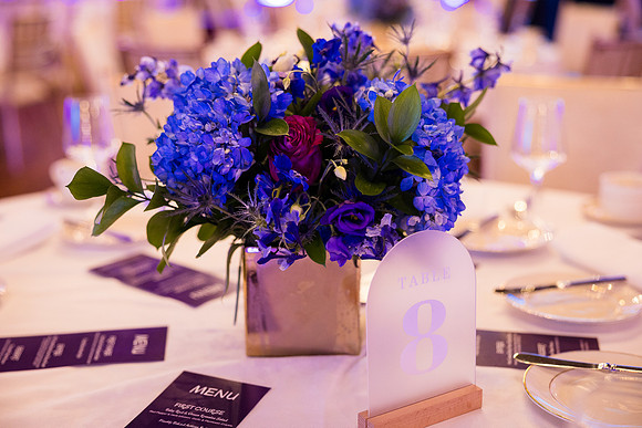 0010__3-5-25_Iron-Mountain-Data-Centers-Award-Dinner-St-Regis-Hotel-DC-Event-Photojournalism-photographers