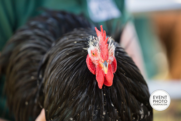 0483__9-14-24-Chartis-Federal-Corporate-Family-Day-JK-Farm-Purceville-Virginia-EventPhotojournalism-event-photographers
