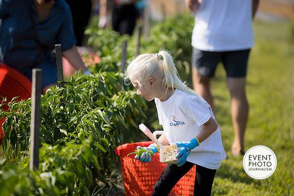 0217__9-14-24-Chartis-Federal-Corporate-Family-Day-JK-Farm-Purceville-Virginia-EventPhotojournalism-event-photographers