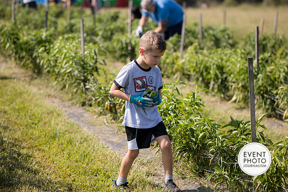 0289__9-14-24-Chartis-Federal-Corporate-Family-Day-JK-Farm-Purceville-Virginia-EventPhotojournalism-event-photographers