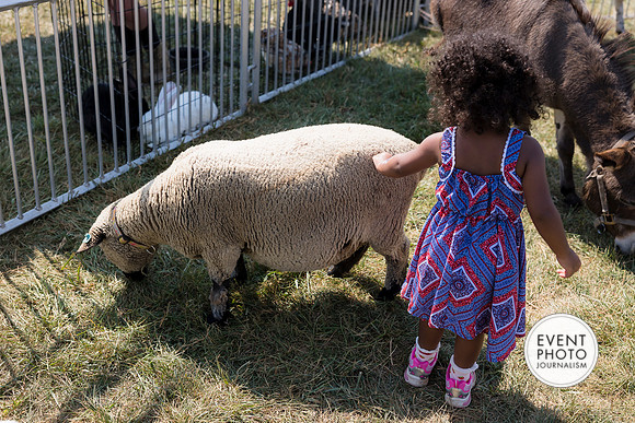 0476__9-14-24-Chartis-Federal-Corporate-Family-Day-JK-Farm-Purceville-Virginia-EventPhotojournalism-event-photographers