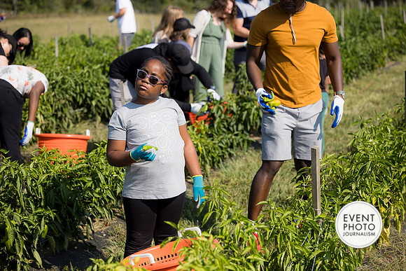 0187__9-14-24-Chartis-Federal-Corporate-Family-Day-JK-Farm-Purceville-Virginia-EventPhotojournalism-event-photographers