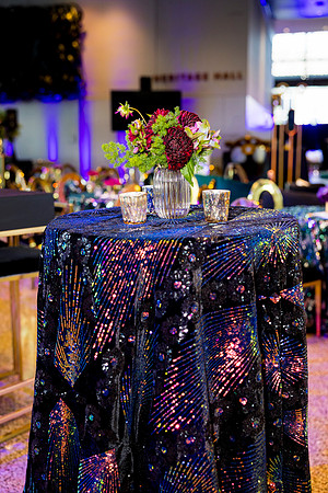 0042__8-2-25_Damien-Dwin-Celebration-National-Museum-of-African-American-Museum-Washington-DC-event-Rodney-Bailey-Photography