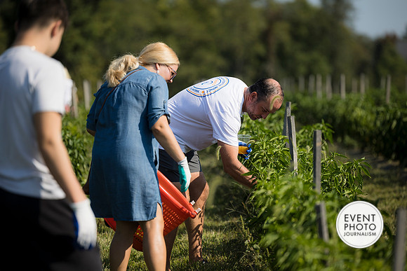 0195__9-14-24-Chartis-Federal-Corporate-Family-Day-JK-Farm-Purceville-Virginia-EventPhotojournalism-event-photographers
