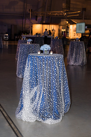Steven-F-Udvar-Hazy-Center-National-Air-Space-Museum-Virginia-event-photographers-EventPhotojournalism__0021