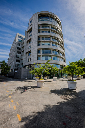 DSC_1253