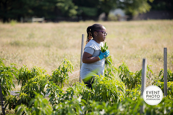 0243__9-14-24-Chartis-Federal-Corporate-Family-Day-JK-Farm-Purceville-Virginia-EventPhotojournalism-event-photographers