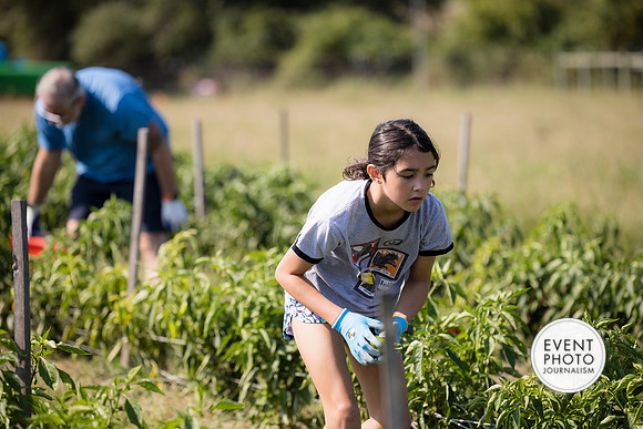 0287__9-14-24-Chartis-Federal-Corporate-Family-Day-JK-Farm-Purceville-Virginia-EventPhotojournalism-event-photographers