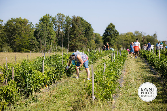 0333__9-14-24-Chartis-Federal-Corporate-Family-Day-JK-Farm-Purceville-Virginia-EventPhotojournalism-event-photographers