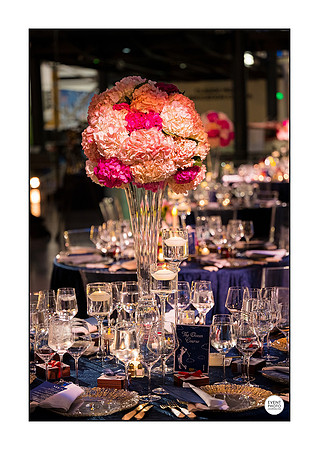 0446_10-11-22_NOBLIS-Retirement_Party-Udvar-Hazy-Center-EventPhotojournalism-event-photographers-Virginia