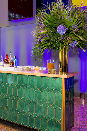 0021__8-2-25_Damien-Dwin-Celebration-National-Museum-of-African-American-Museum-Washington-DC-event-Rodney-Bailey-Photography