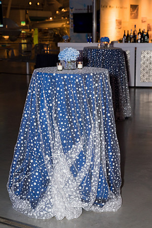 Steven-F-Udvar-Hazy-Center-National-Air-Space-Museum-Virginia-event-photographers-EventPhotojournalism__0020