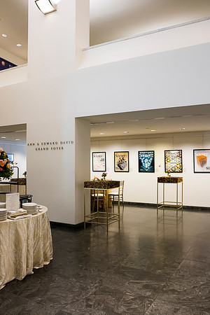 0022__6-5-25_AAAS-2025-Mani-L-Bhaumik-Breakthough-Award-Washington-DC-Event-Photojournalism-photography